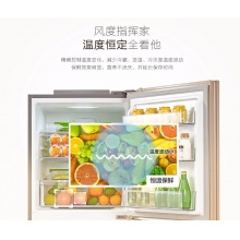 【新品】美的（Midea）冰箱三门 小型家用 无霜变频冰箱 三门冰箱 BCD-252WTPM(E)