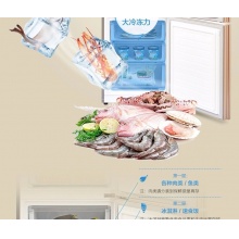 【新品】美的（Midea）冰箱三门 小型家用 无霜变频冰箱 三门冰箱 BCD-252WTPM(E)