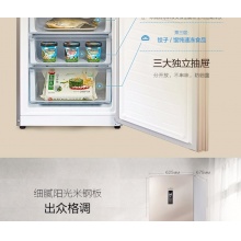 【新品】美的（Midea）冰箱三门 小型家用 无霜变频冰箱 三门冰箱 BCD-252WTPM(E)