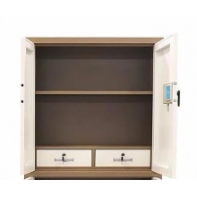 丰龙单节电子保密柜