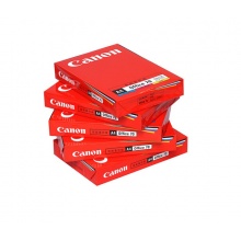 佳能（Canon）70g A4原装复印纸500张/包  （5包/一箱）